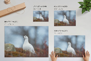 Poster druck Winterlandschaft