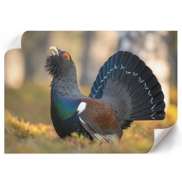 Poster druck Stolzer Vogel