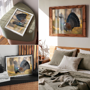 Poster druck Stolzer Vogel