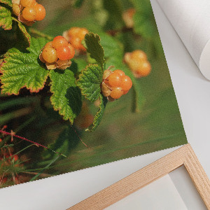 Poster Waldfrüchte