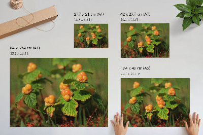Poster mit Waldfrüchten