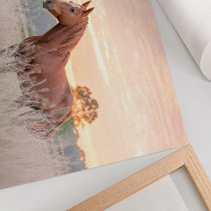 Poster druck Morgenstille