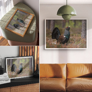 Wandposter Ein Vogel im Wald