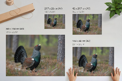 Wandposter mit Motiv eines Vogels im Wald