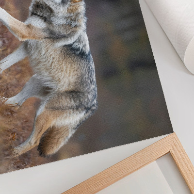 Poster mit Wolfsmotiv