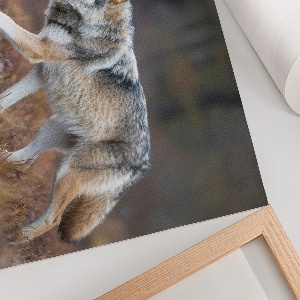 Poster mit Wolfsmotiv