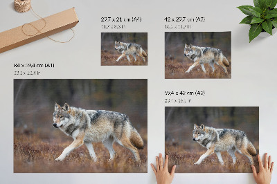 Poster mit Wolfsmotiv