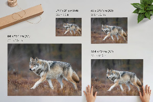 Poster mit Wolfsmotiv