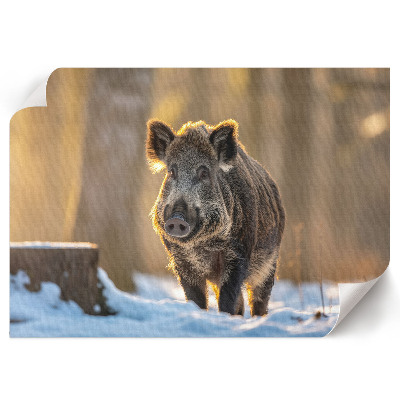Poster mit Motiv 'Winterschwein'