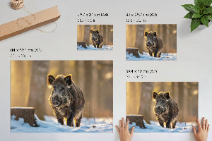 Poster mit Motiv 'Winterschwein'