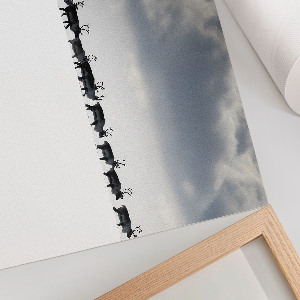 Wandposter „Arktisreise”