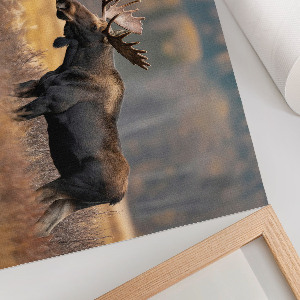 Plakat mit Motiv „Herbstelch
