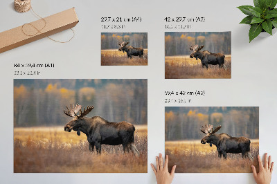 Plakat mit Motiv „Herbstelch