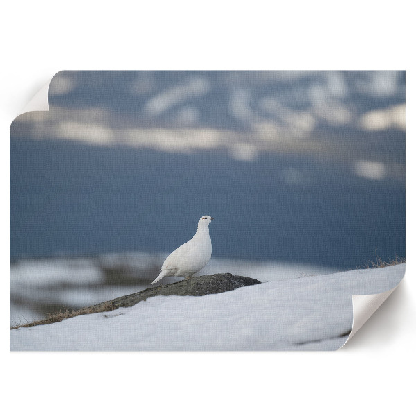Poster mit Motiv "Wintergast"