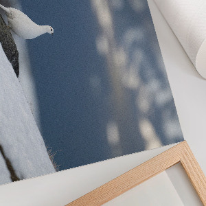 Poster mit Motiv 