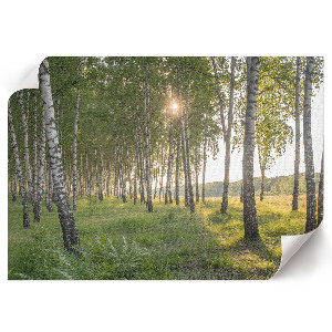 Poster „Waldfrieden“