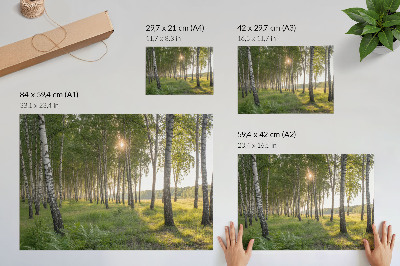 Poster „Waldfrieden“