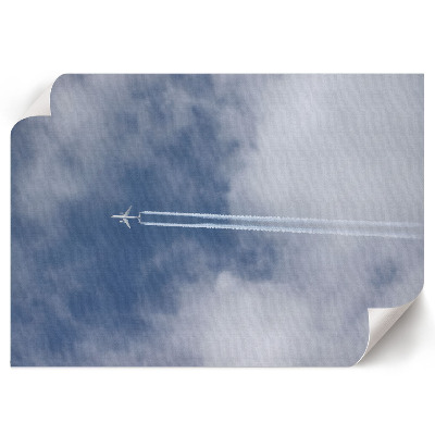 Wandposter Sky Flight