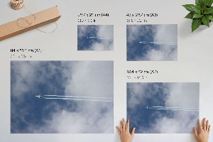 Wandposter Sky Flight