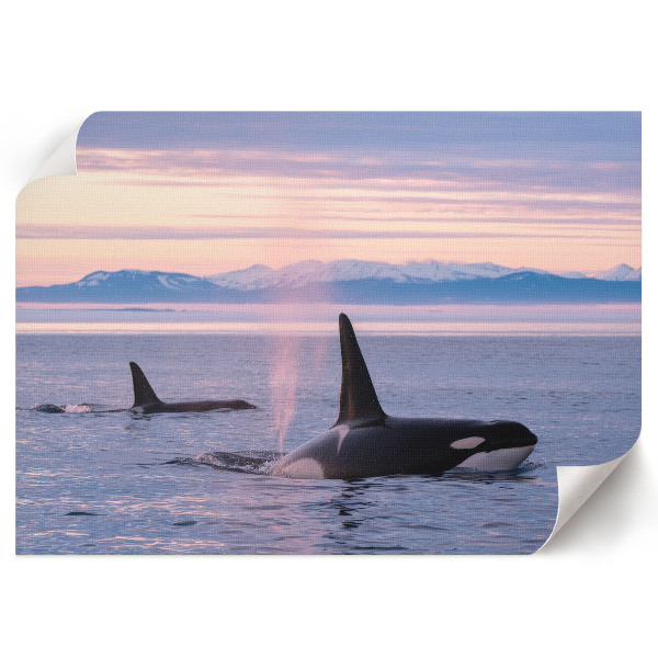 Poster mit Druck einer Meereslandschaft