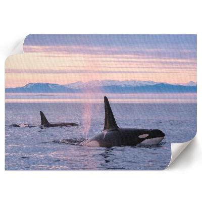 Poster mit Druck einer Meereslandschaft