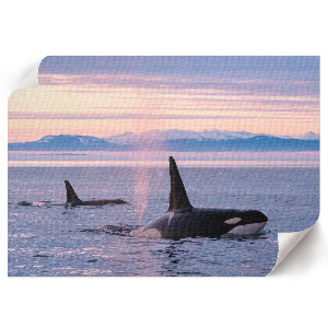Poster mit Druck einer Meereslandschaft