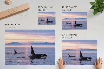 Poster mit Druck einer Meereslandschaft