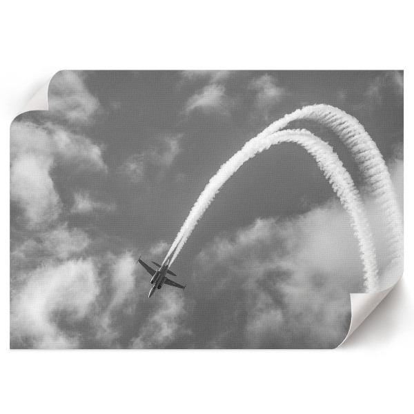 Poster mit Motiv eines fliegenden Vogels am Himmel