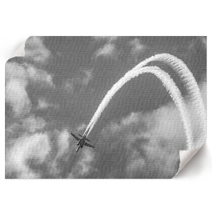 Poster mit Motiv eines fliegenden Vogels am Himmel