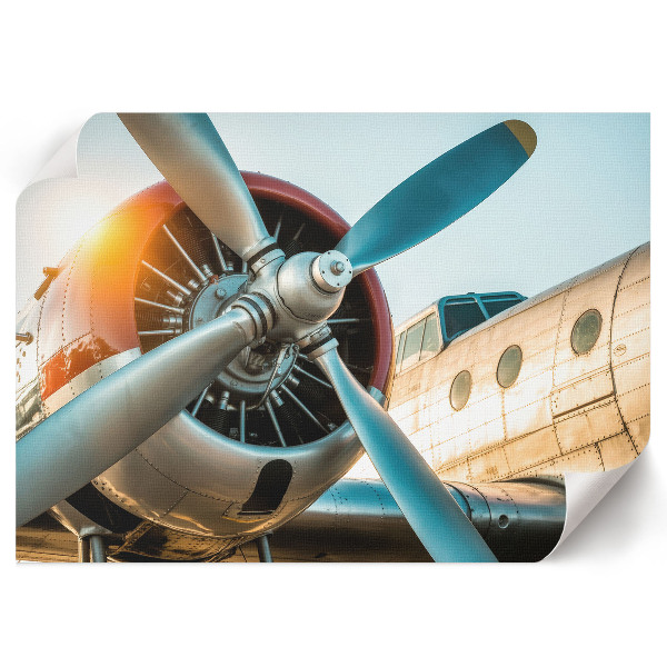 Plakat Flugzeugdetails