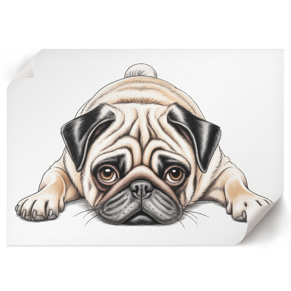 Poster bilder Mops-Illustration
