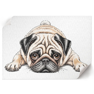 Poster bilder Mops-Illustration