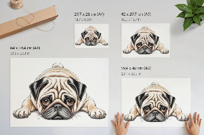 Poster mit Mops-Illustration