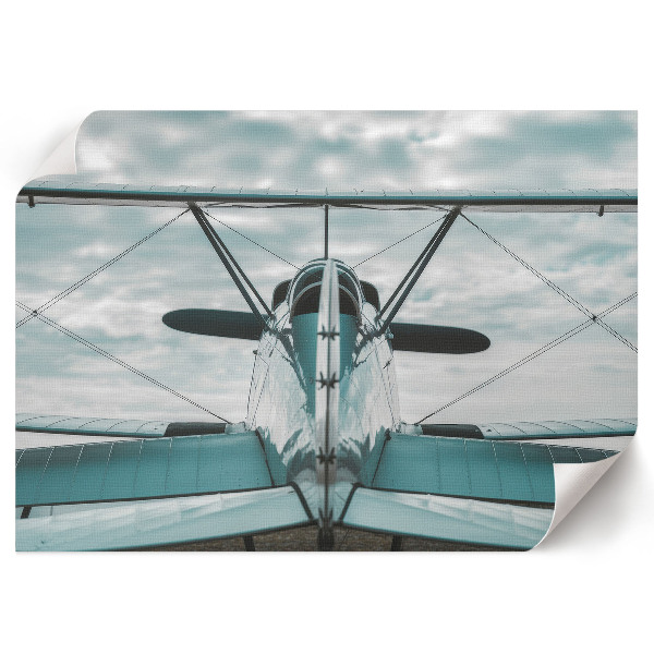 Wandposter Klassisches Flugzeug