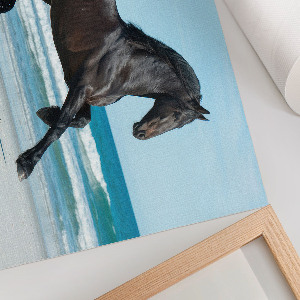 Poster bilder Ein galoppierendes Pferd