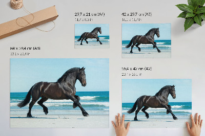 Poster mit einem galoppierenden Pferd
