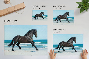 Poster bilder Ein galoppierendes Pferd