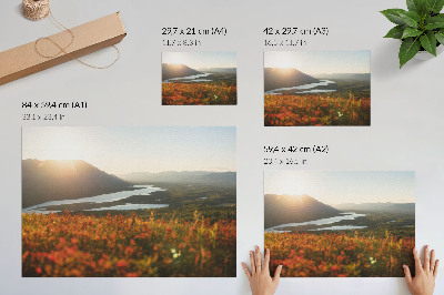 Plakat mit Motiv 