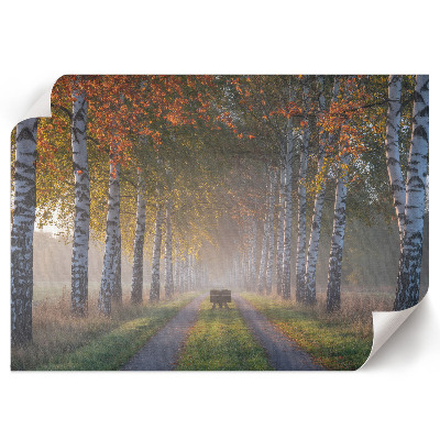 Wandposter mit Motiv 'Waldallee'