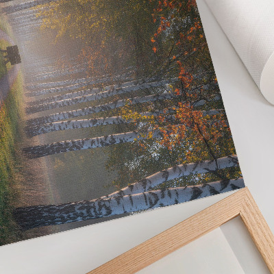 Wandposter mit Motiv 'Waldallee'