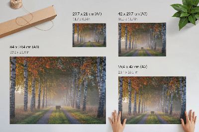 Wandposter mit Motiv 'Waldallee'