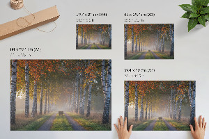 Wandposter Waldallee