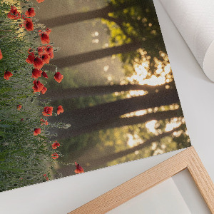 Poster bilder Mohnblumen und Wald