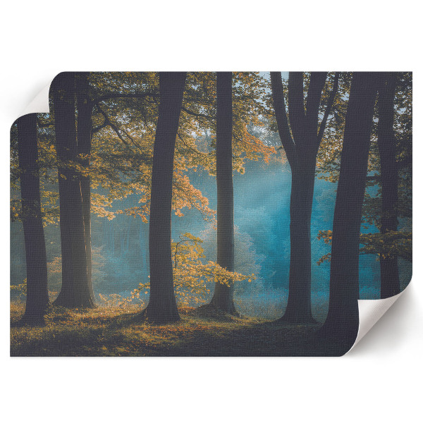 Plakat Waldfrieden