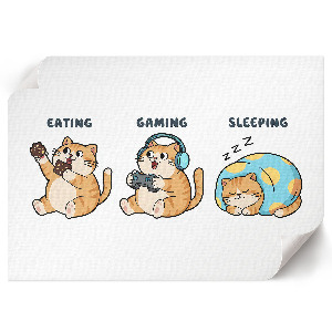 Wandposter Das Leben einer Katze