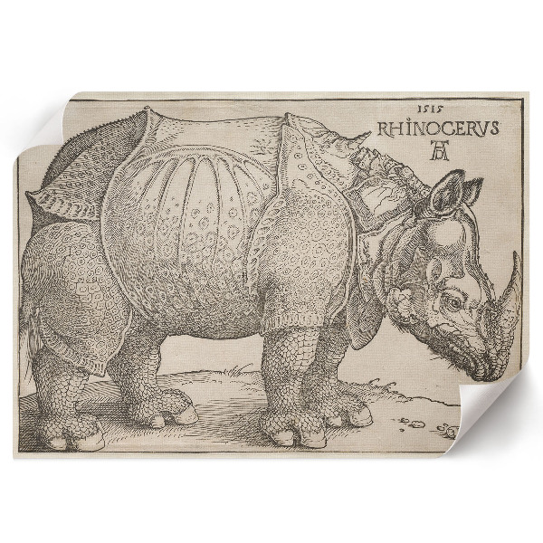 Poster druck Nashorn