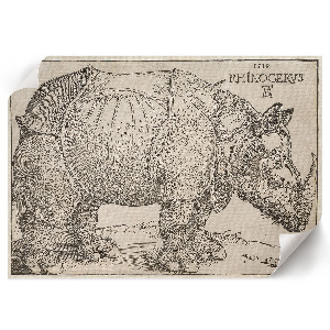 Poster druck Nashorn