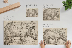 Poster druck Nashorn