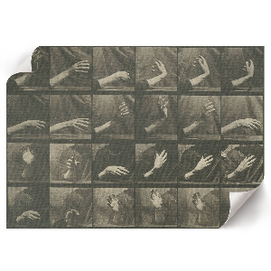 Plakat Tierische Fortbewegung