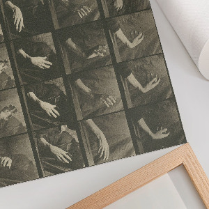 Plakat Tierische Fortbewegung